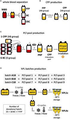 A Blood Bank Standardized Production of Human Platelet Lysate for Mesenchymal Stromal Cell Expansion: Proteomic Characterization and Biological Effects